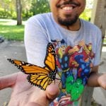 Butterfly displayed on young mans hand